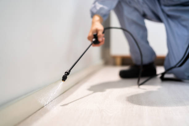 Licensed Pest Control service in Borger, TX - Show Me Pest Control