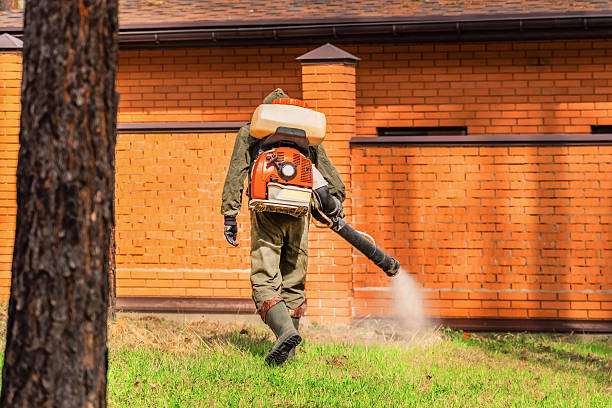 Bed Bug Clearance Verification and Documentation in Borger